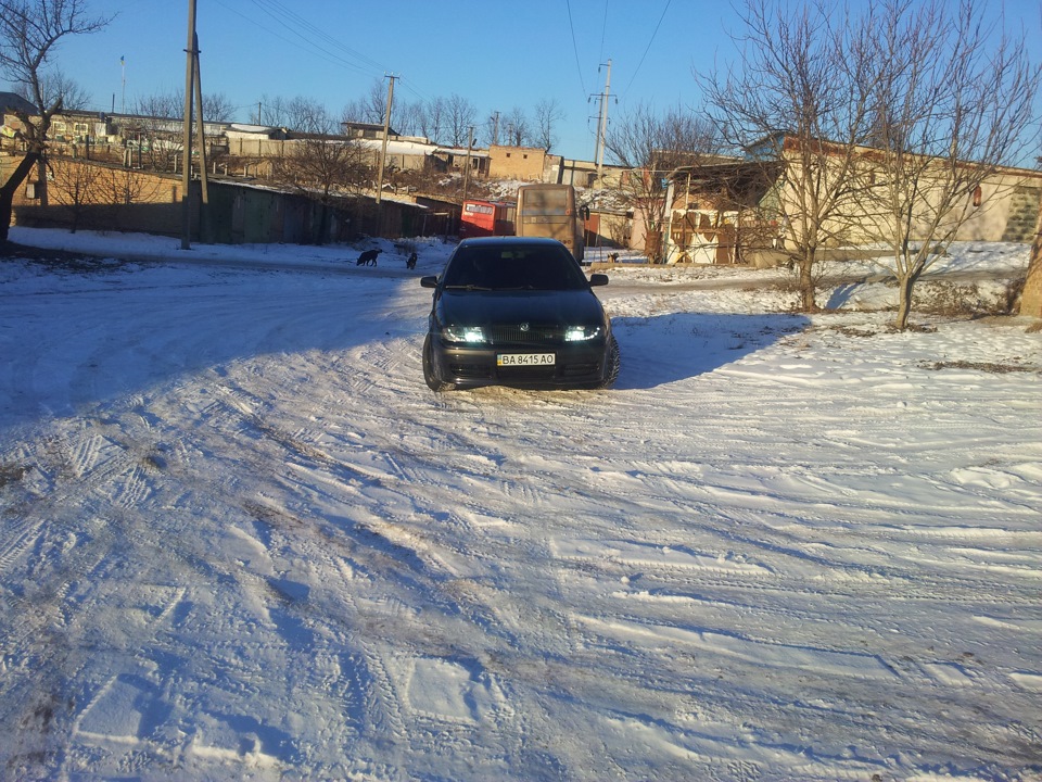 Пару зимових фото 3