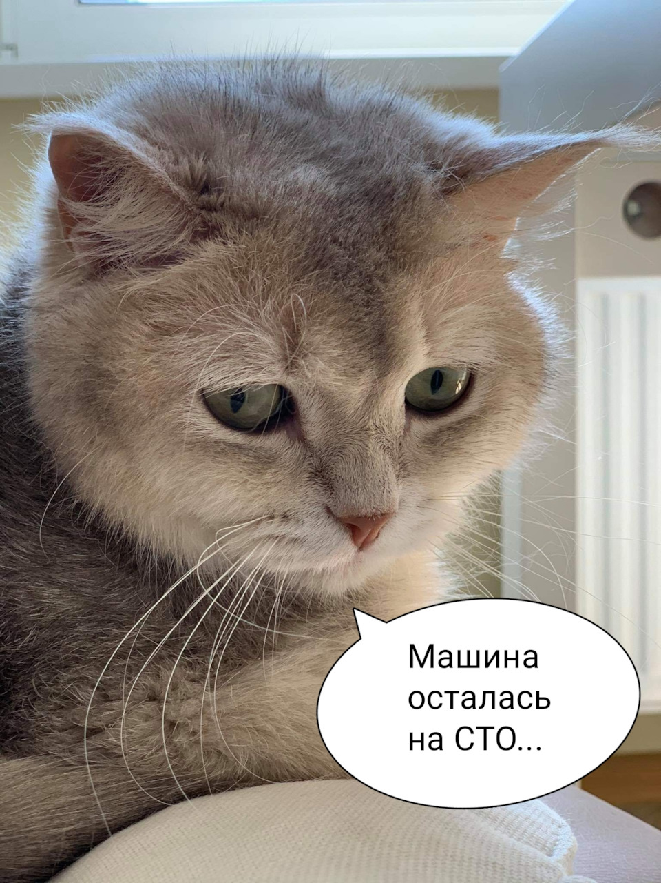 Радує витрата після ТО 1