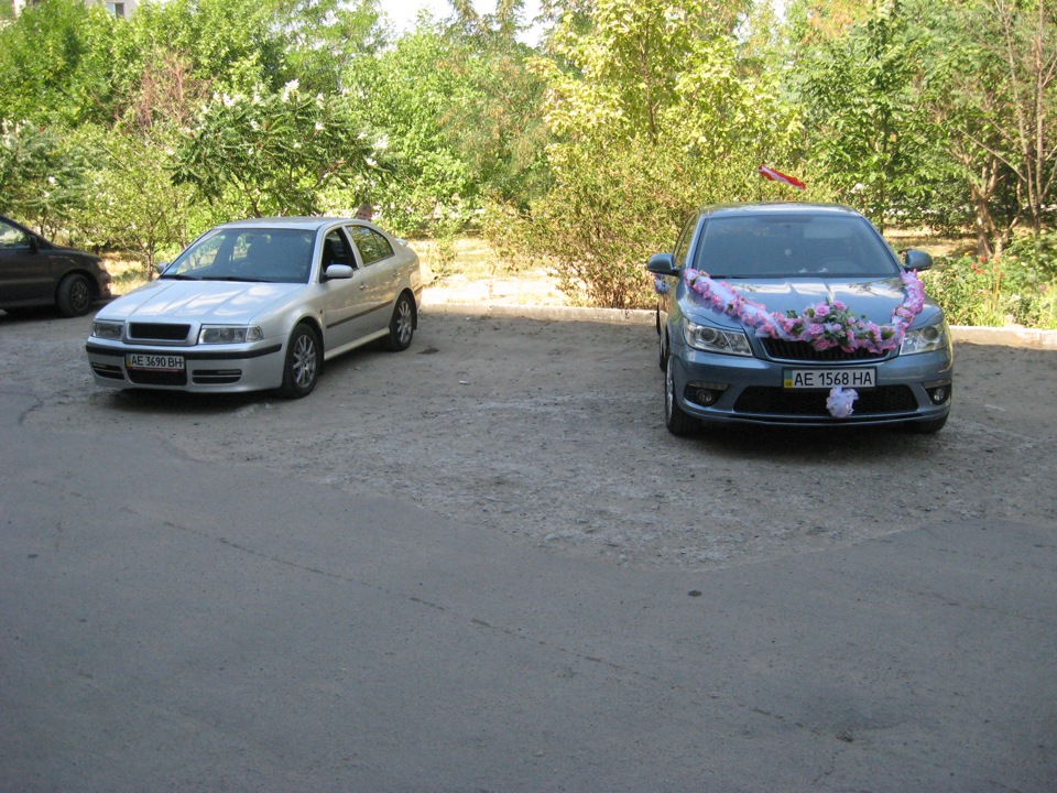 Покотушки на весіллі 2