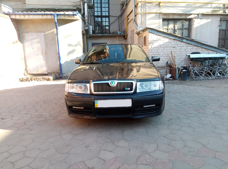 Літня цибуля 2017 1