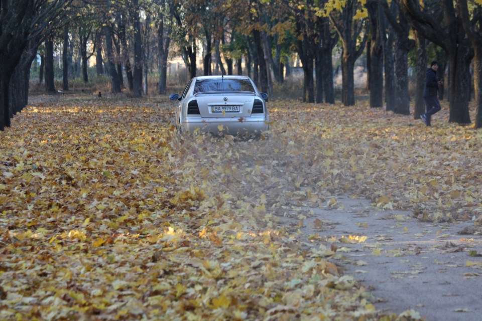 Осінь, всі справи ... 1