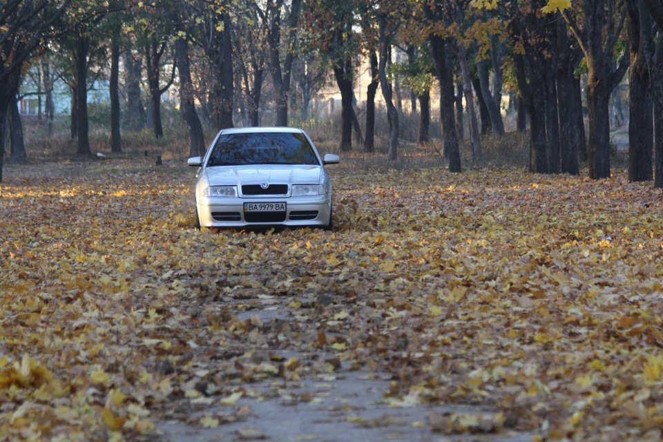 Осінь, всі справи ... 2