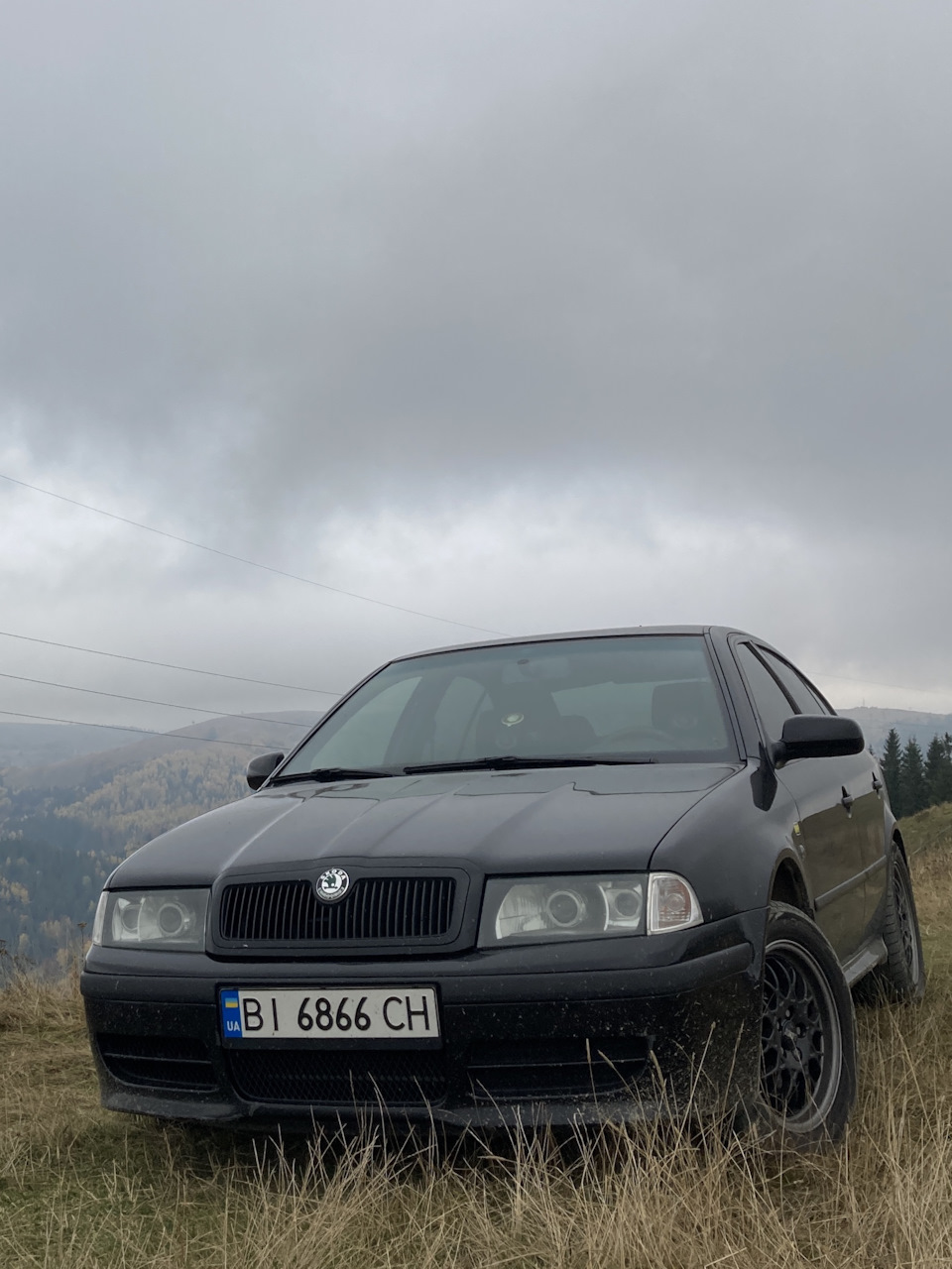 Грати радіатора. 2