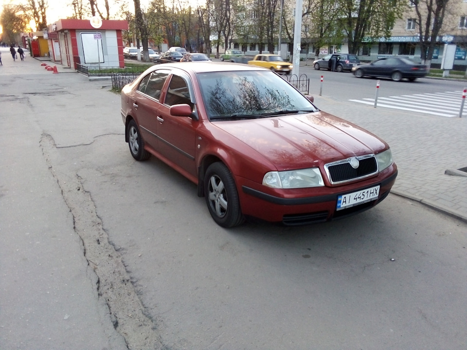 Грати Бампера Skodnits@1.8t 4