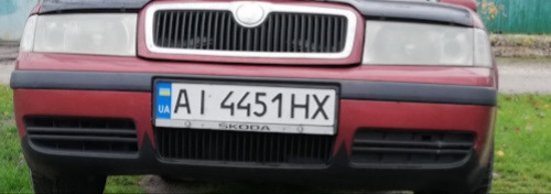 Грати Бампера Skodnits@1.8t 1