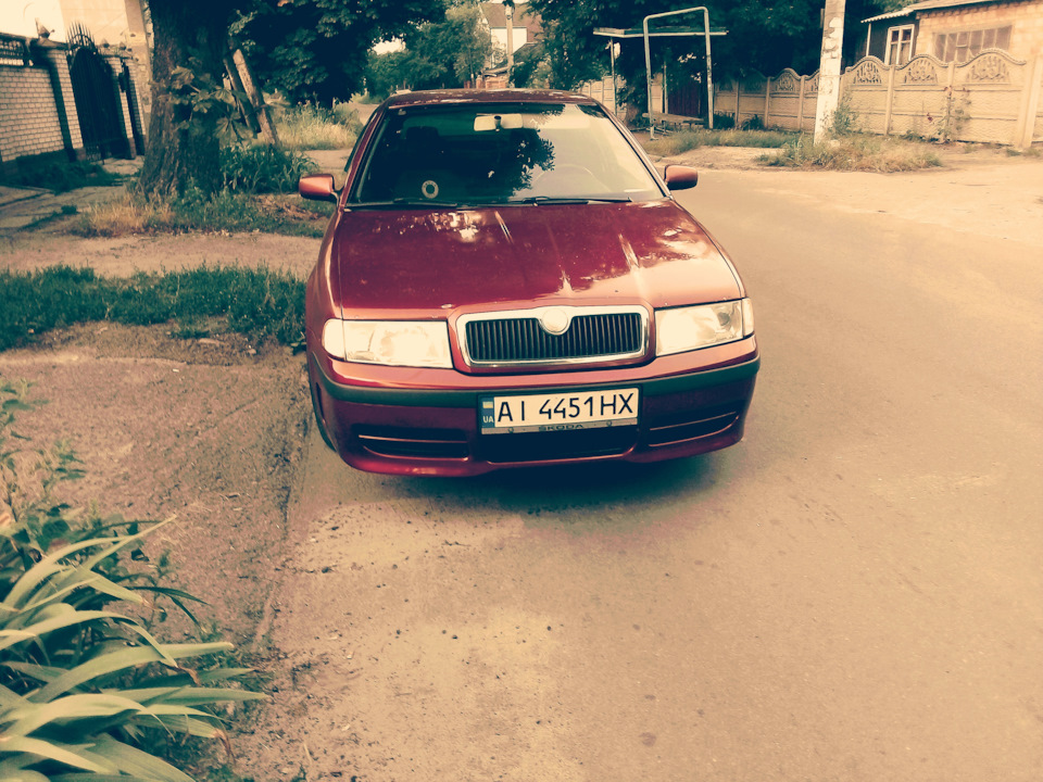Грати Бампера Skodnits@1.8t 5