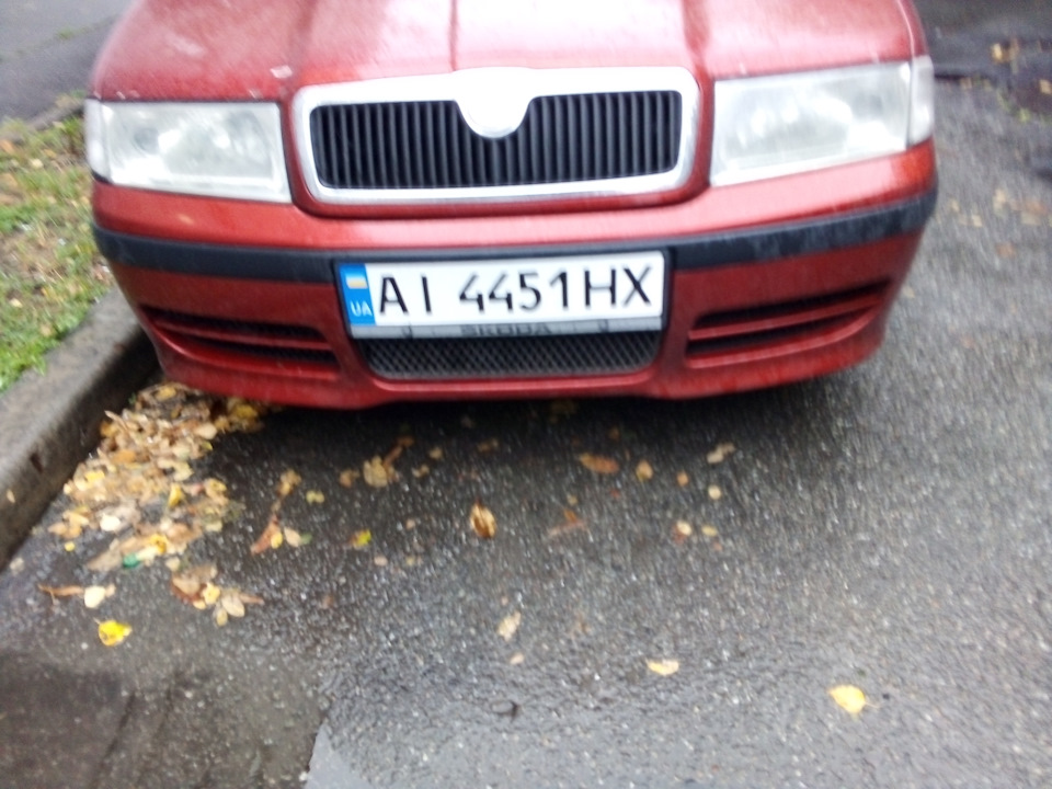 Грати Бампера Skodnits@1.8t 2