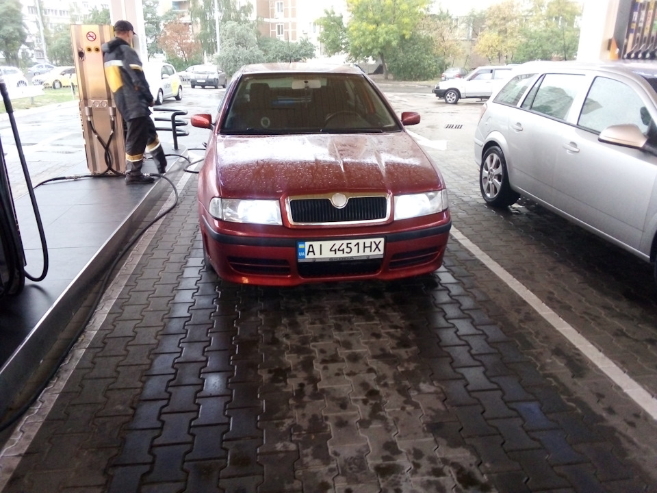 Грати Бампера Skodnits@1.8t 3