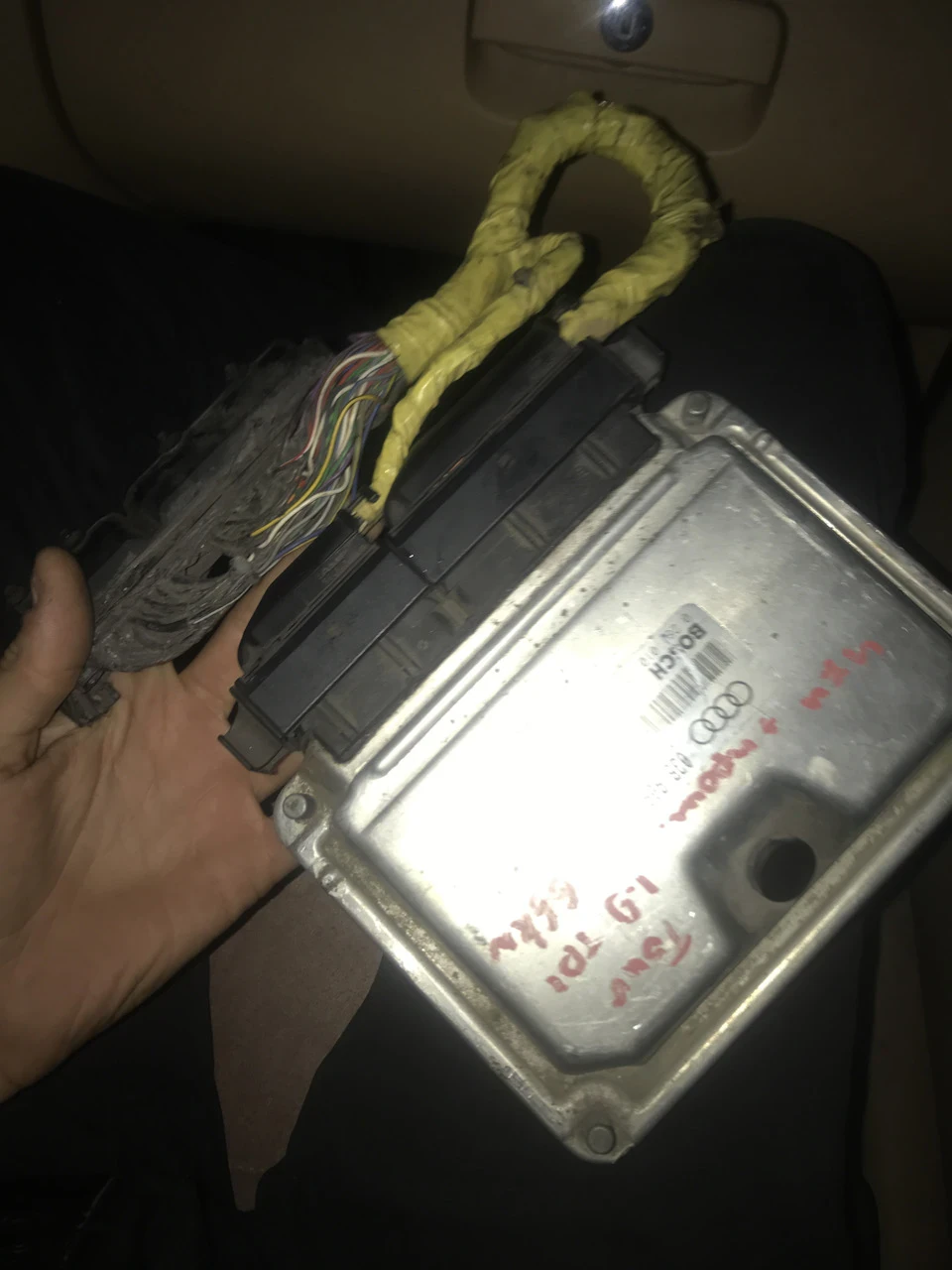 Мрії здійснюються