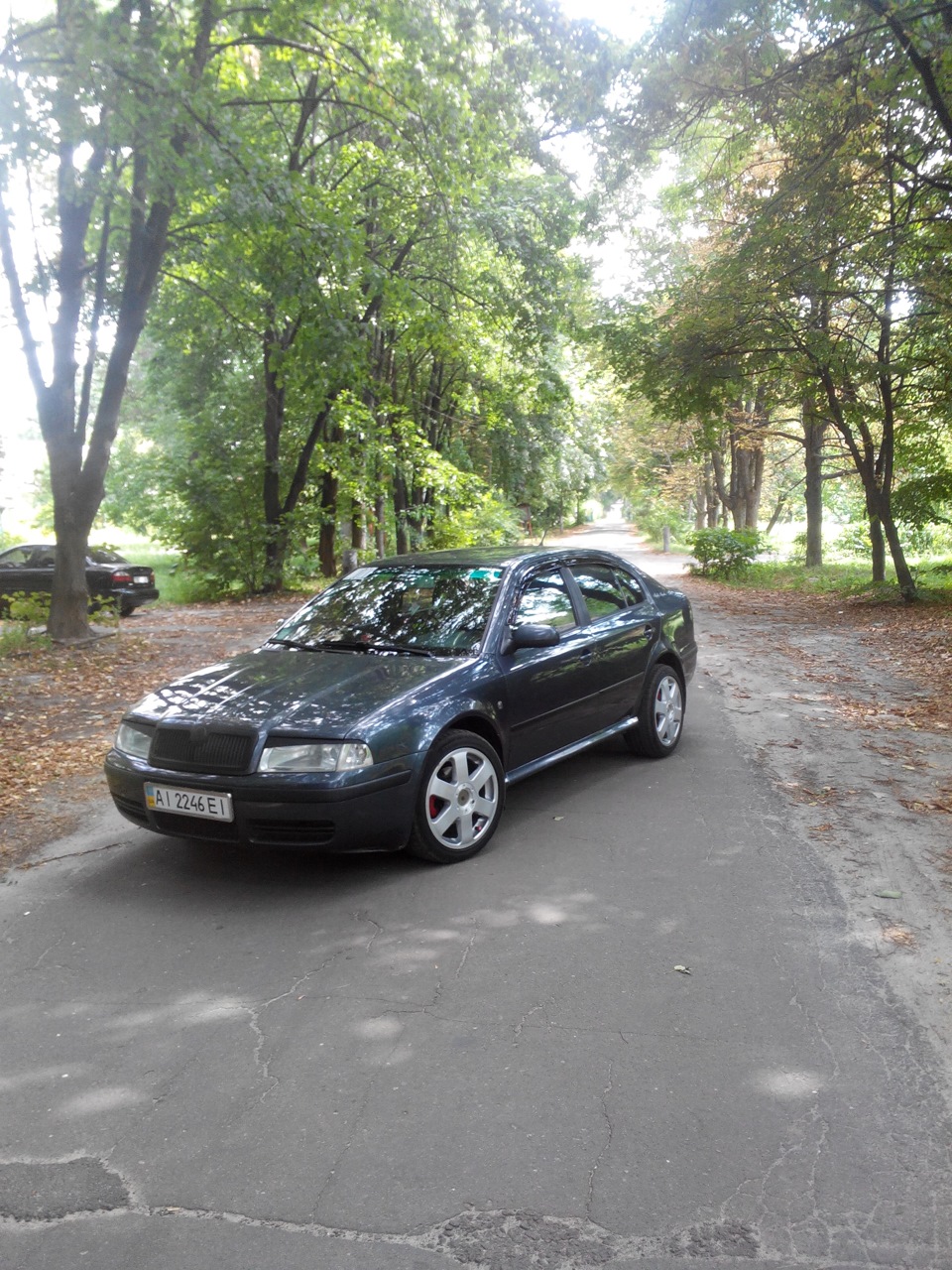 Нові тапки R17 3