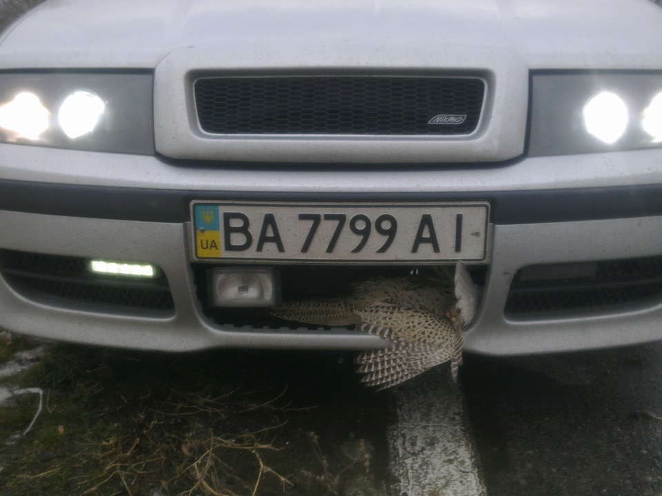 Мінус фара. 1
