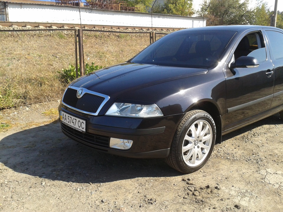 Ренички встановлені) 3