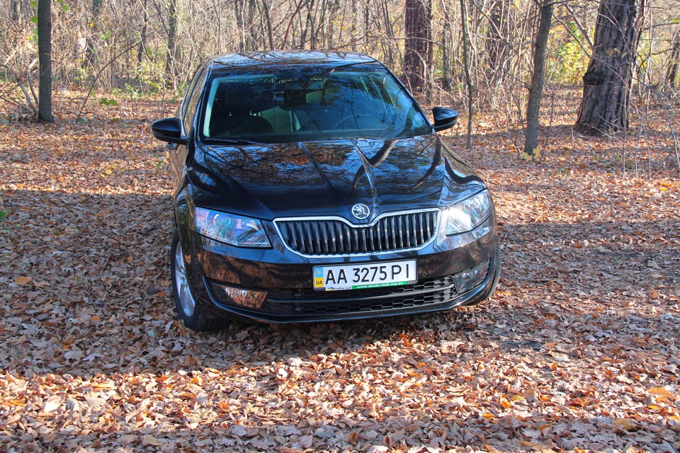 Осінній фотосет 2
