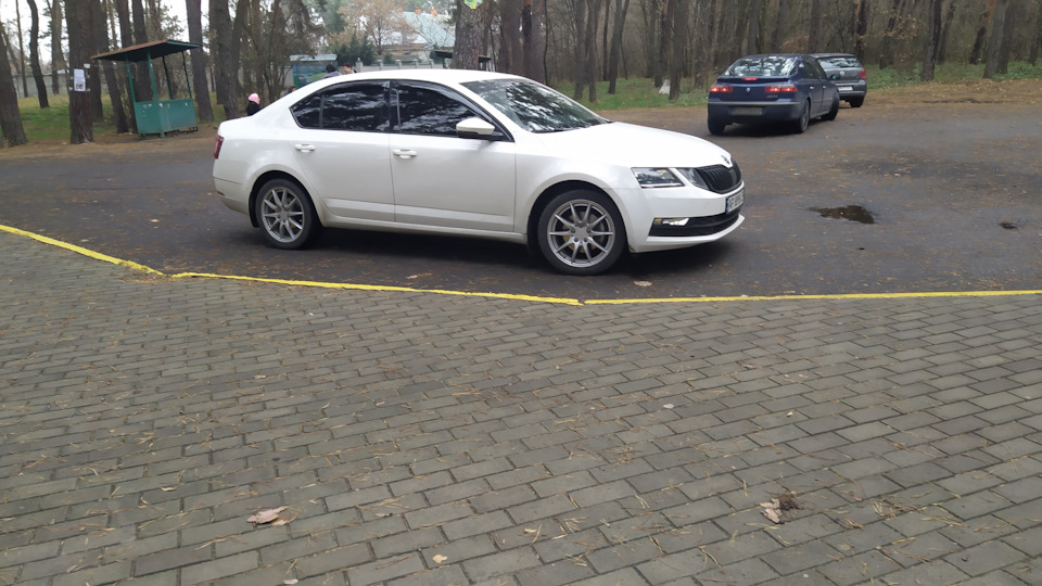 Скрип колодок:( 1