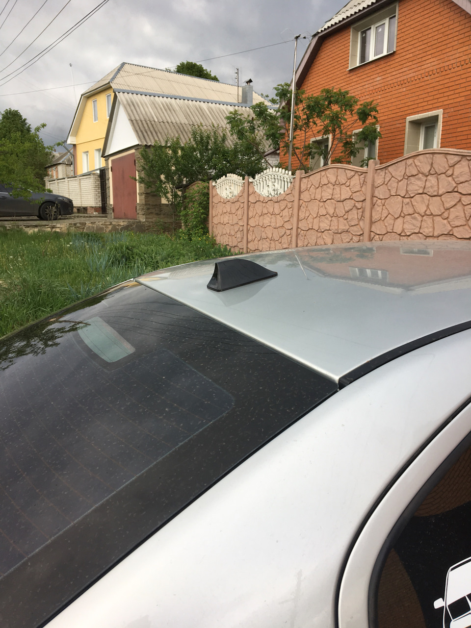 Плавник 1