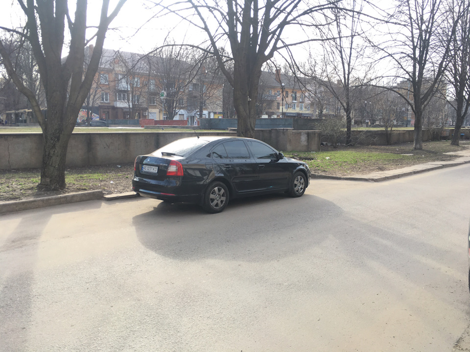 Просто так. Ботанічний багажник 2
