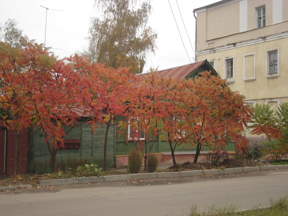Старі фотки подорожі в м. Орел 2