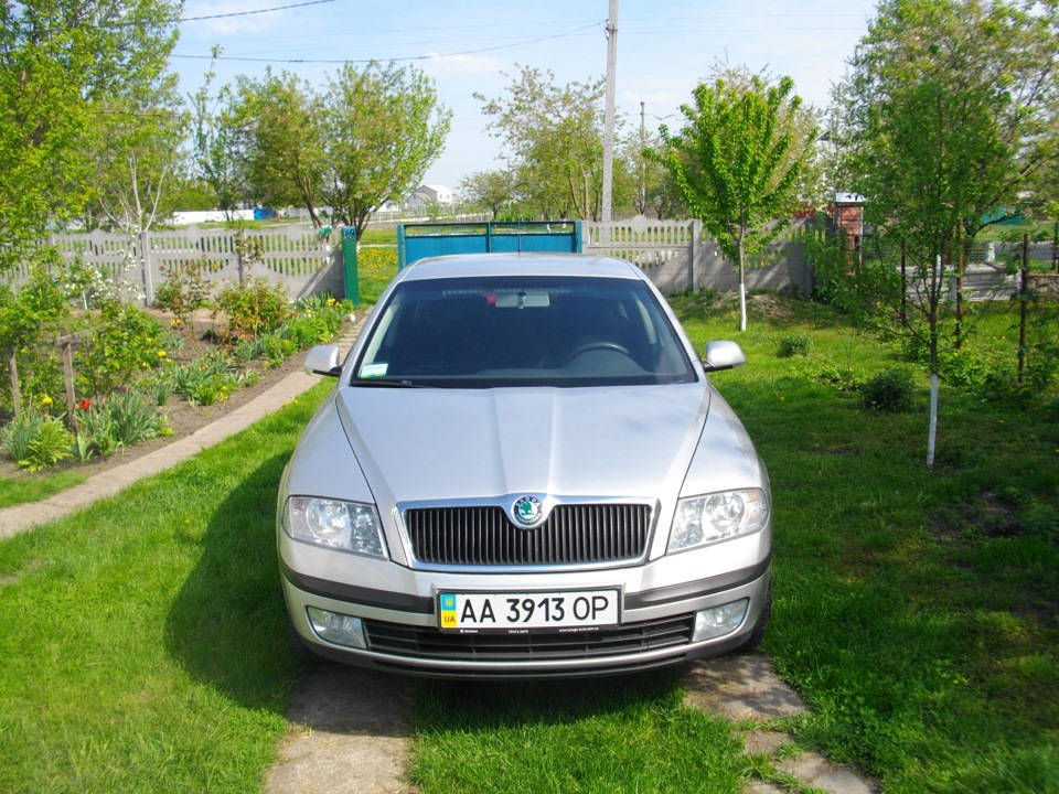 Невеличка фотосесія після мийки 3