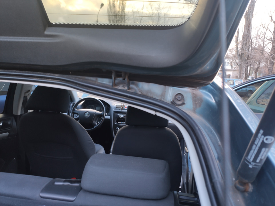 Заглушки даху N102460TRW Skoda Octavia 3