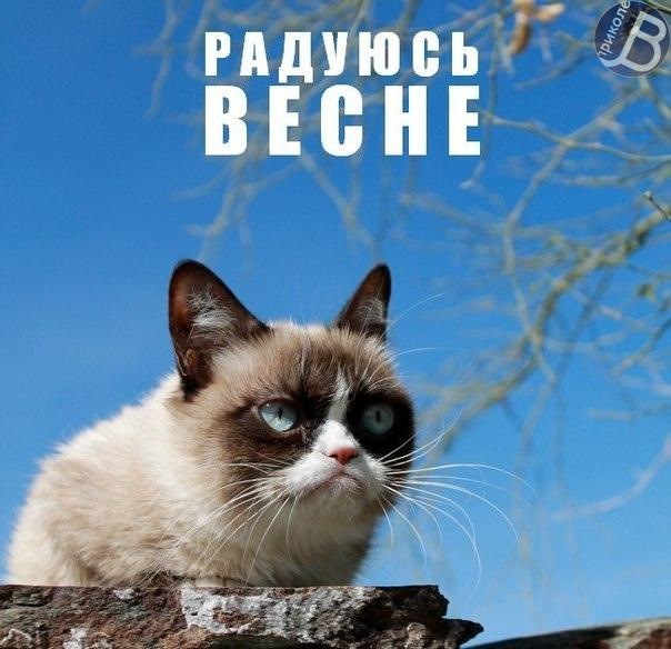 Все ще чекаємо на весну 3