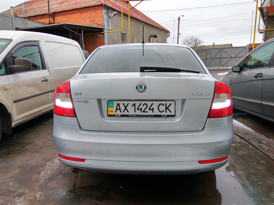Кузькина мати чи врожай кукурудзи 3