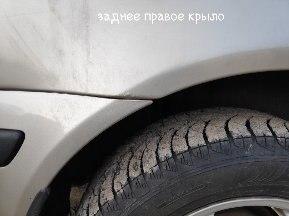 Перше миття та перші розчарування 3