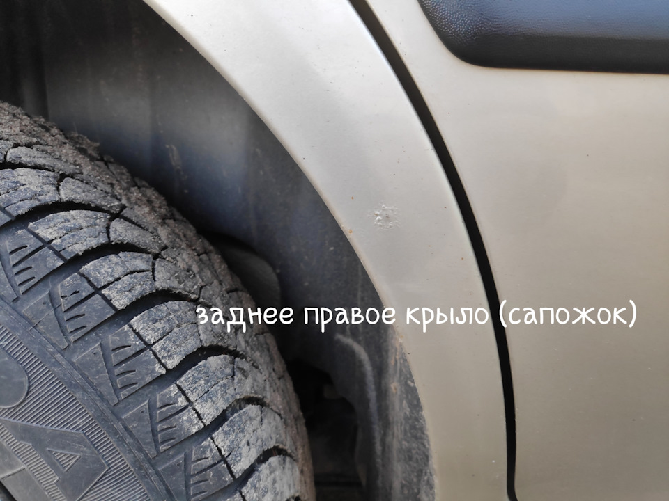 Перше миття та перші розчарування 4