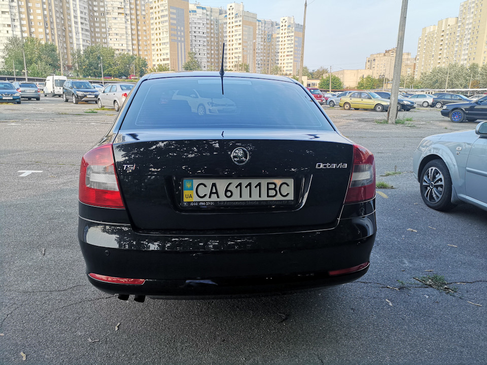 Хромовані насадки глушника //WDG// 5