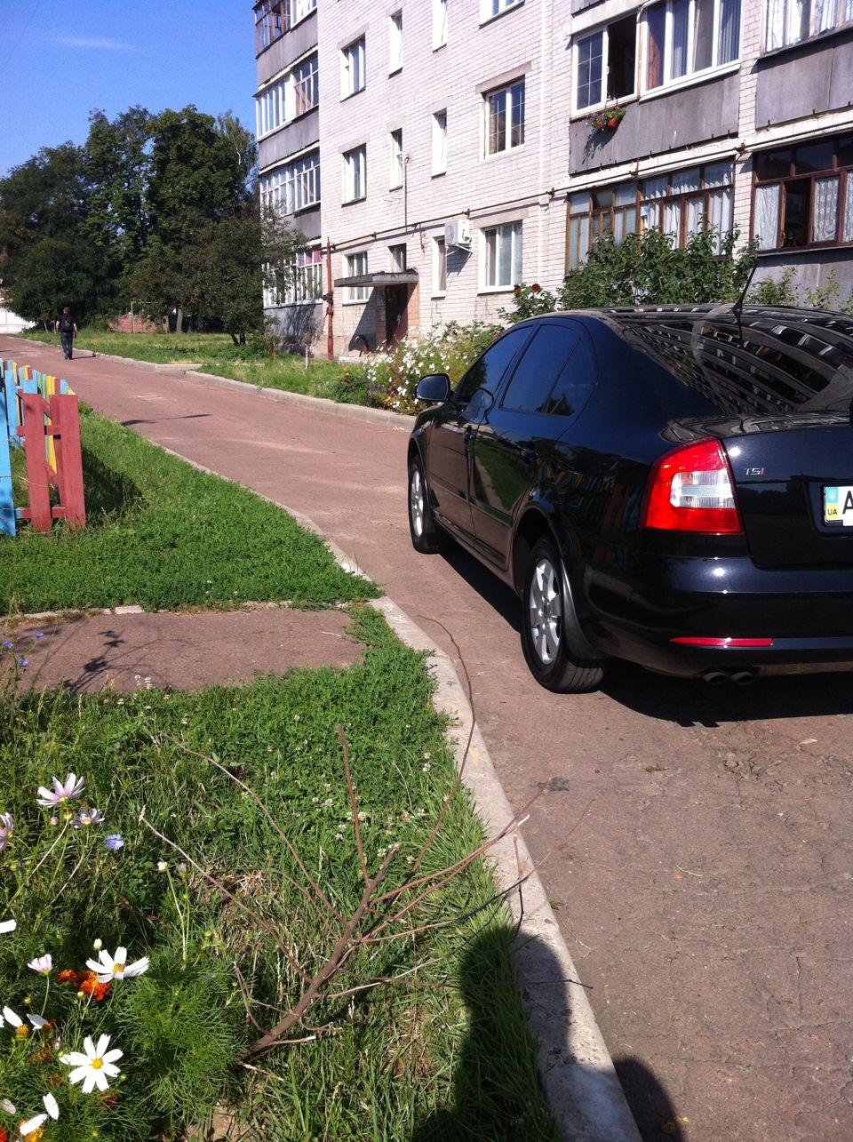 Пару фоток нової малечі =) 4