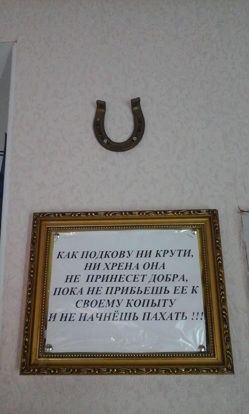 Підкова на щастя! 1