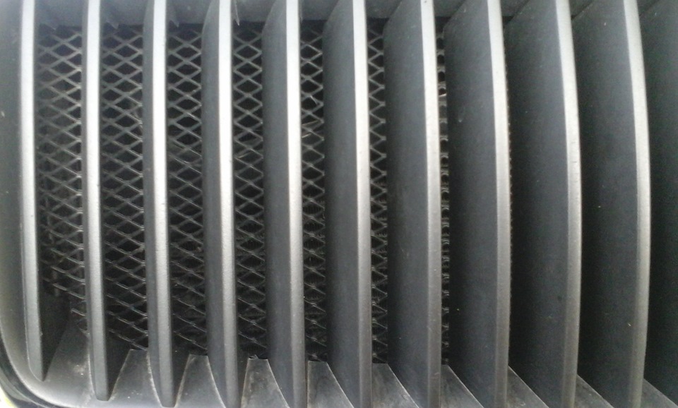Решітка радіатора 1