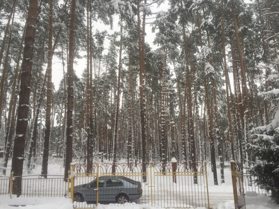 Рецидивіст 2