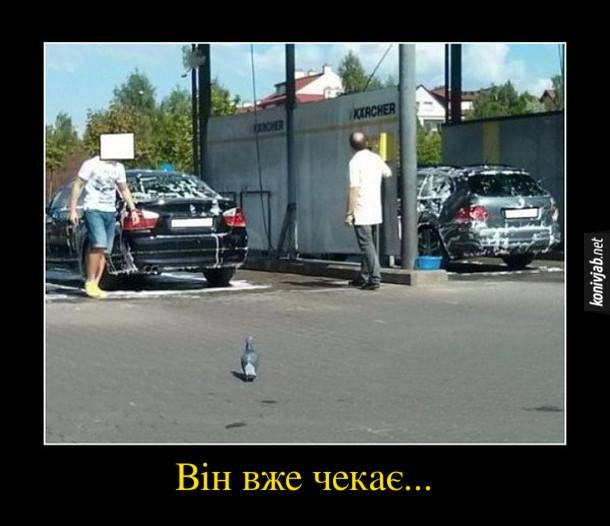 Велике прання 1