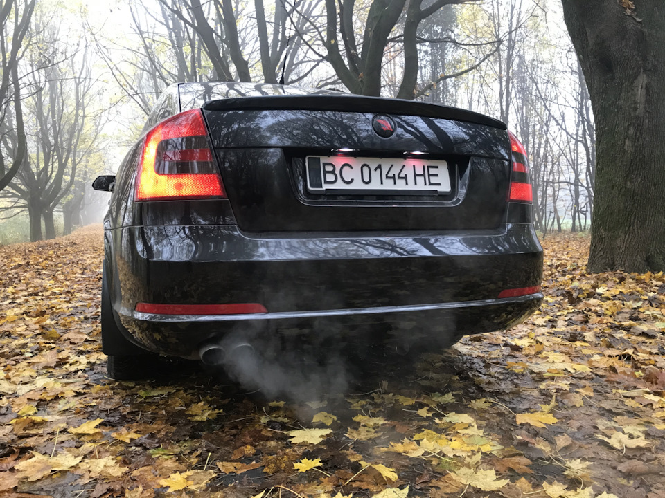 Осіннє ранок 5