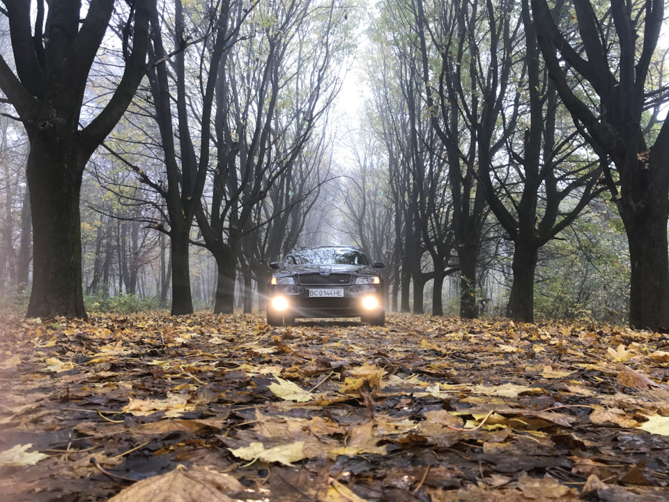 Осіннє ранок 3