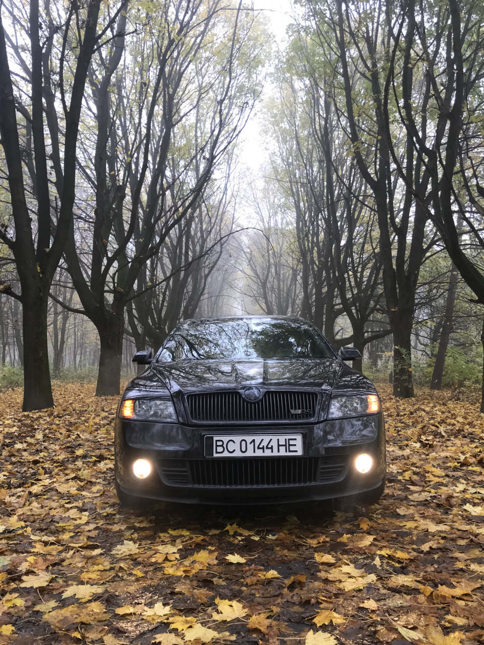 Осіннє ранок 2