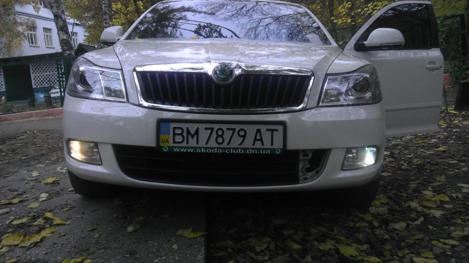Polarg M-7
