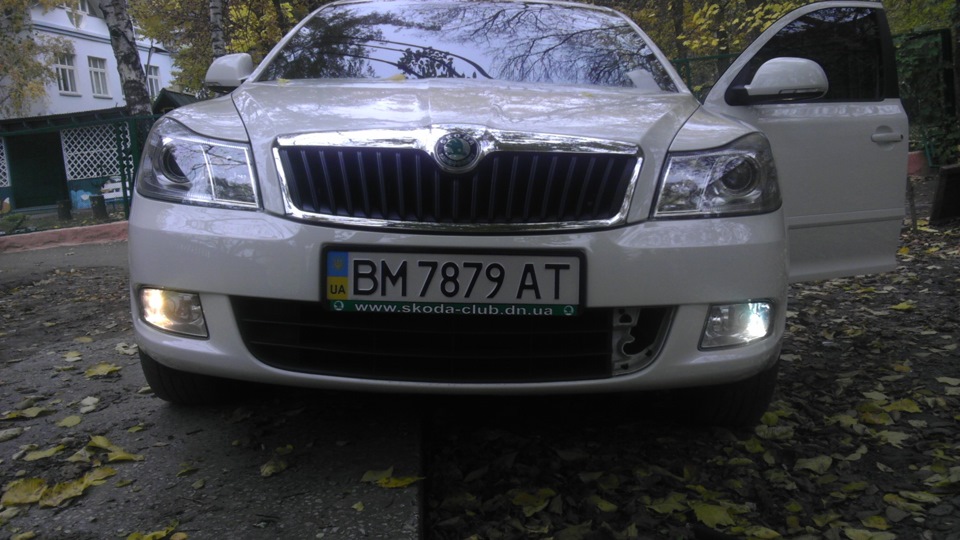 Polarg M-7 1