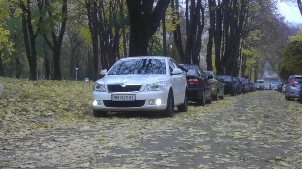 Polarg M-7 2