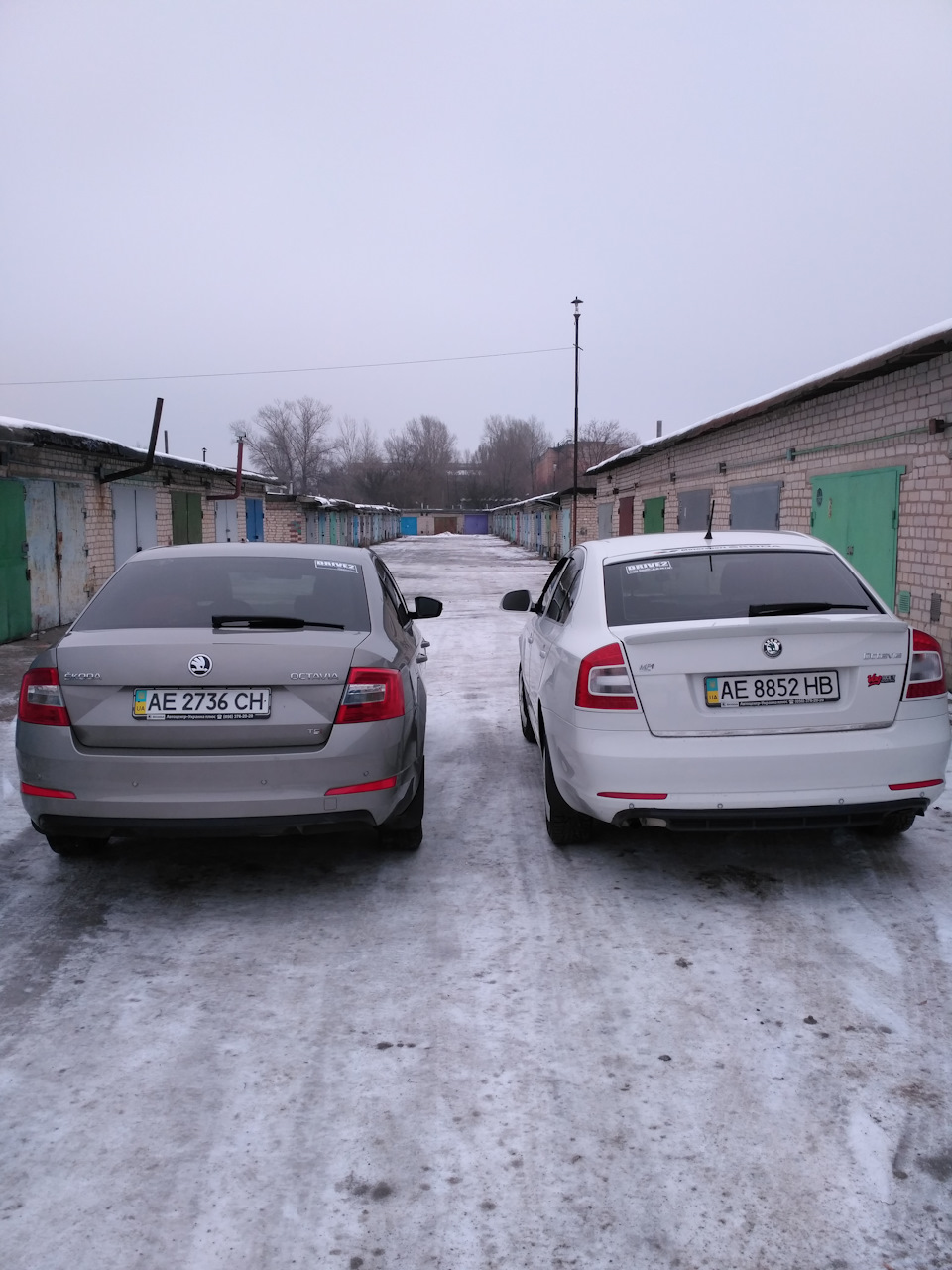 Великий привіт цього року. 2