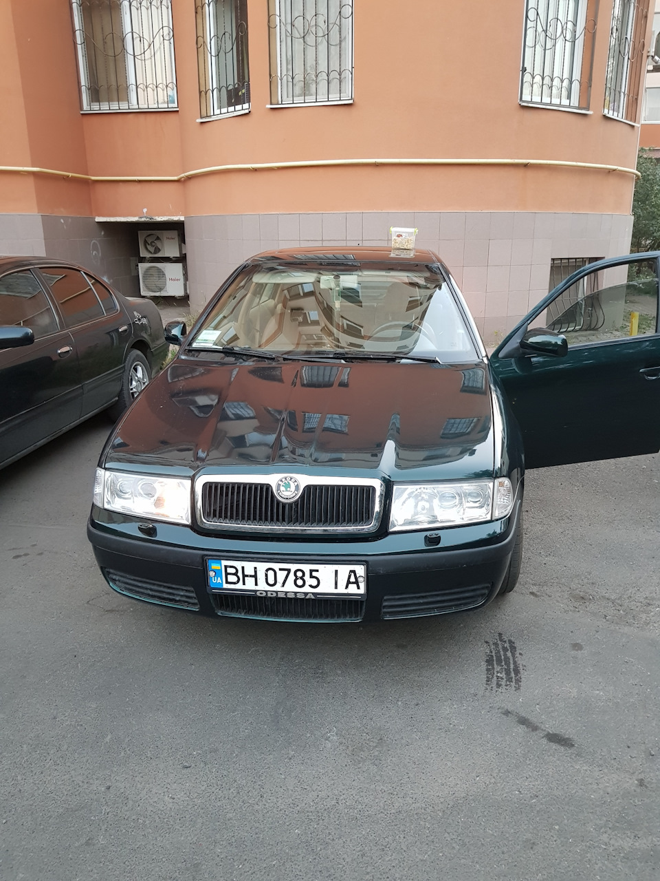 Фарбування завершено 3