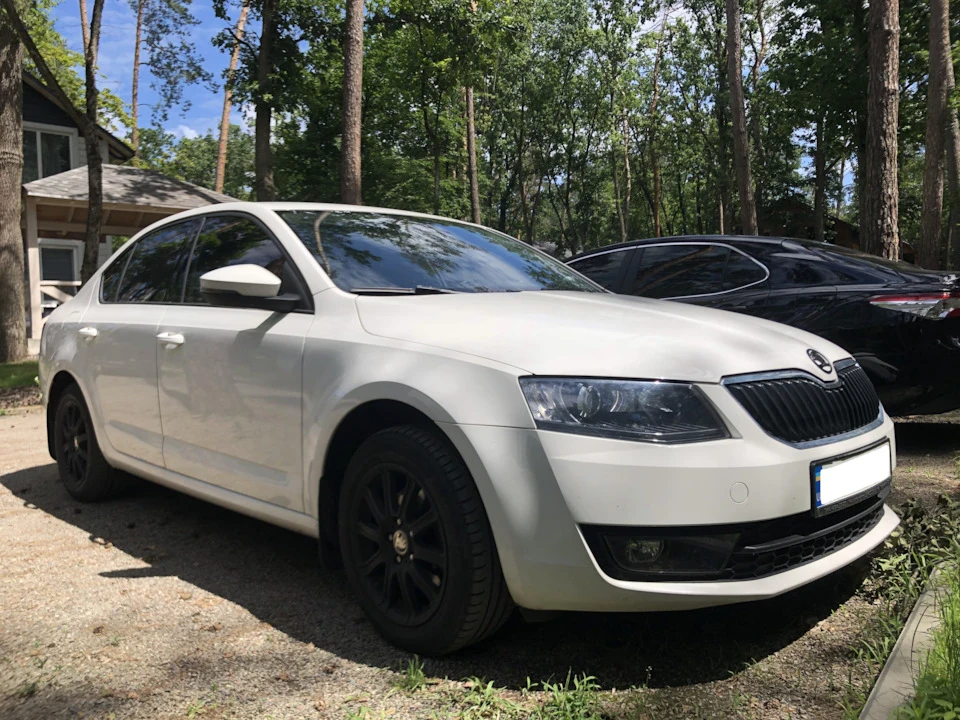 № 26. Вихідні на Дачі