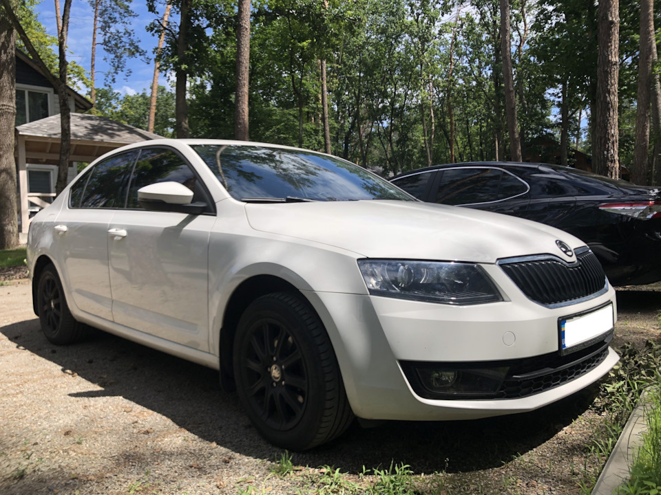 № 26. Вихідні на Дачі 1