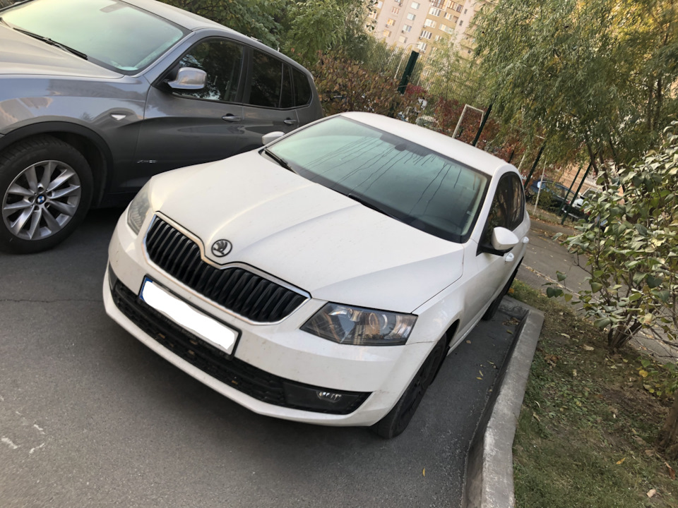 № 31. Столичні пригоди 1