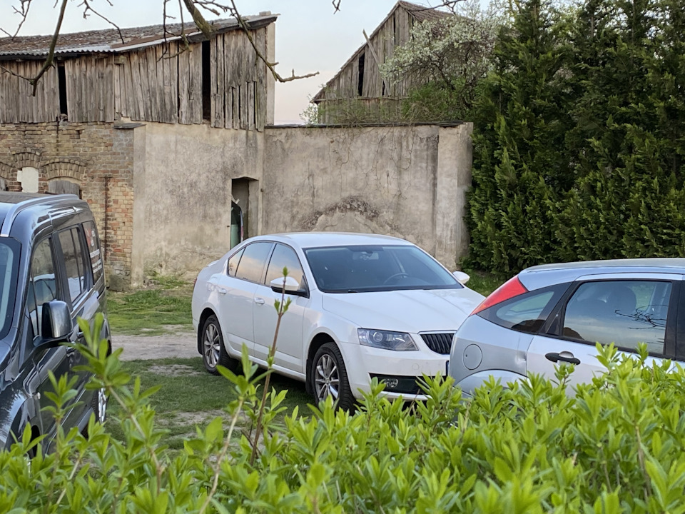 № 48. 2 в 1. Невелике ТО та витрата. 1