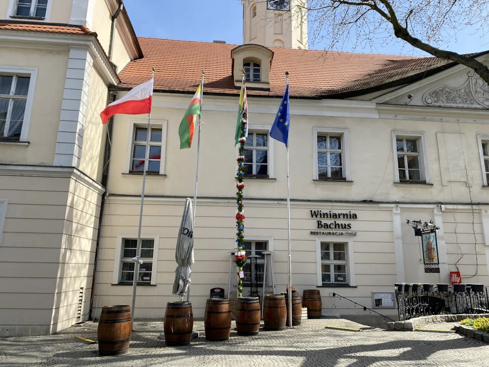 № 56. Городок Zielona Góra