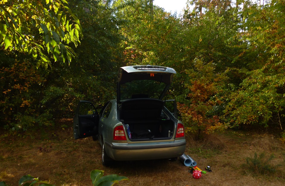І знову ми на природі (фото) 4