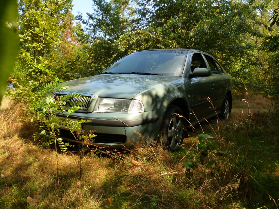 Кілька фотографій поза асфальтом ;) 2