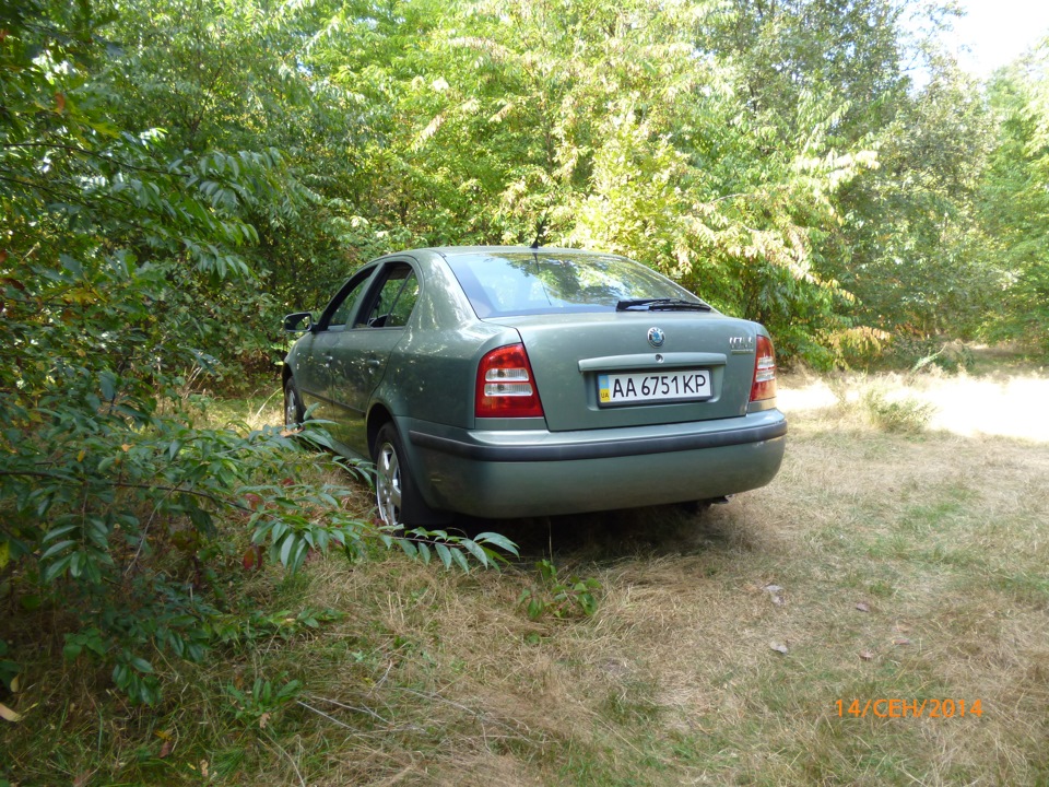 Кілька фотографій поза асфальтом ;) 3
