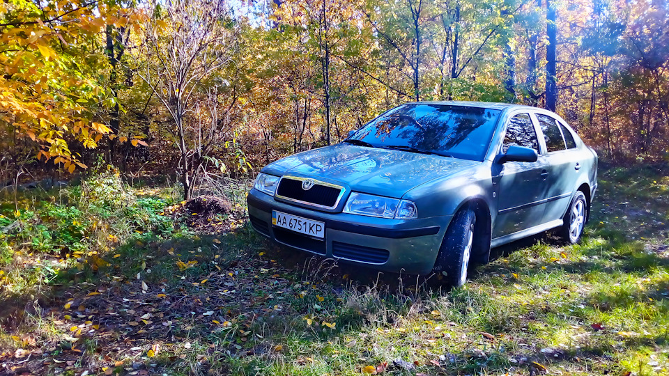 Осінь золота ;) 1